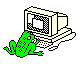 me (a frog looking at a computer)